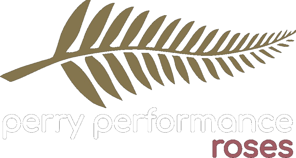 Perry Performance Roses