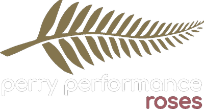 Perry Performance Roses