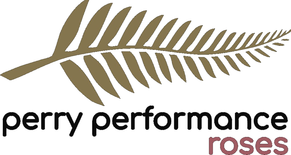 Perry Performance Roses