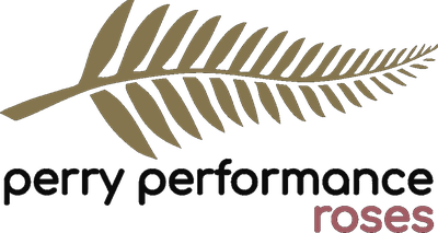 Perry Performance Roses